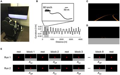 Neuroplastic Reorganization Induced by Sensory Augmentation for Self-Localization During Locomotion